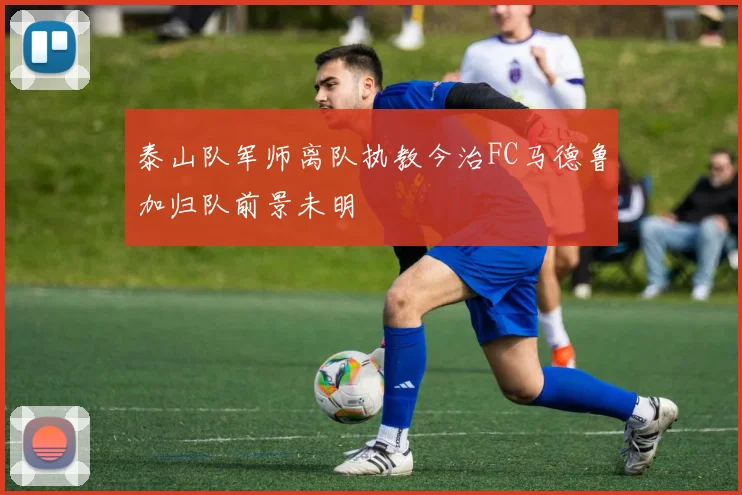 泰山队军师离队执教今治FC马德鲁加归队前景未明